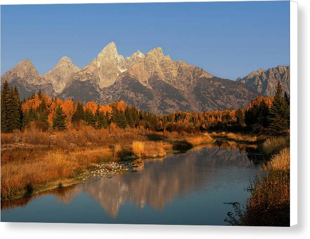 Vivid Autumn Reflection Grand Tetons - Canvas Print