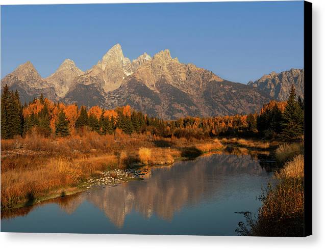 Vivid Autumn Reflection Grand Tetons - Canvas Print