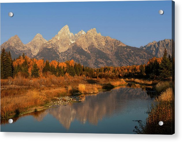 Vivid Autumn Reflection Grand Tetons - Acrylic Print