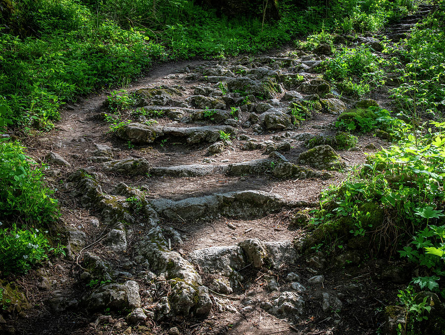 Clifton Gorge hiking path photography print by Dan Sproul