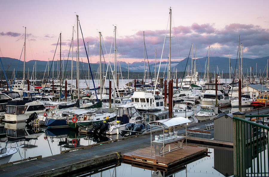 Boats in Comox Harbour under pastel sunrise clouds on Vancouver Island