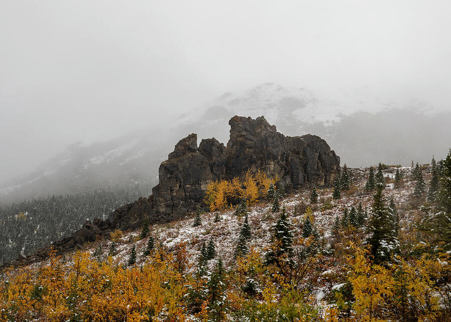 Denali National Park Autumn Bliss Alaska landscape photography print by Dan Sproul