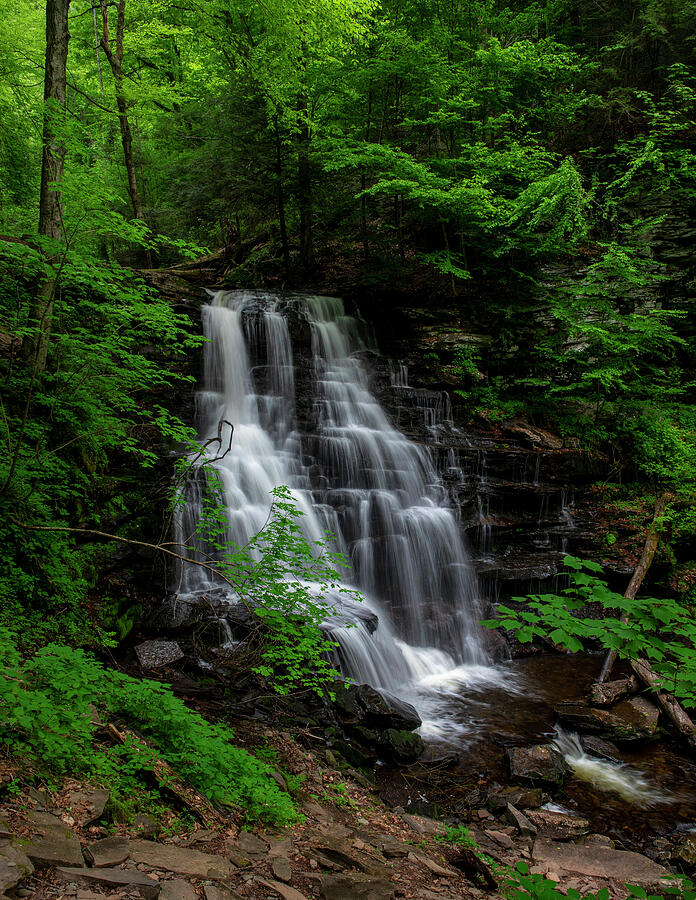 Erie Falls in Ricketts Glen State Park in spring photographed by Dan Sproul