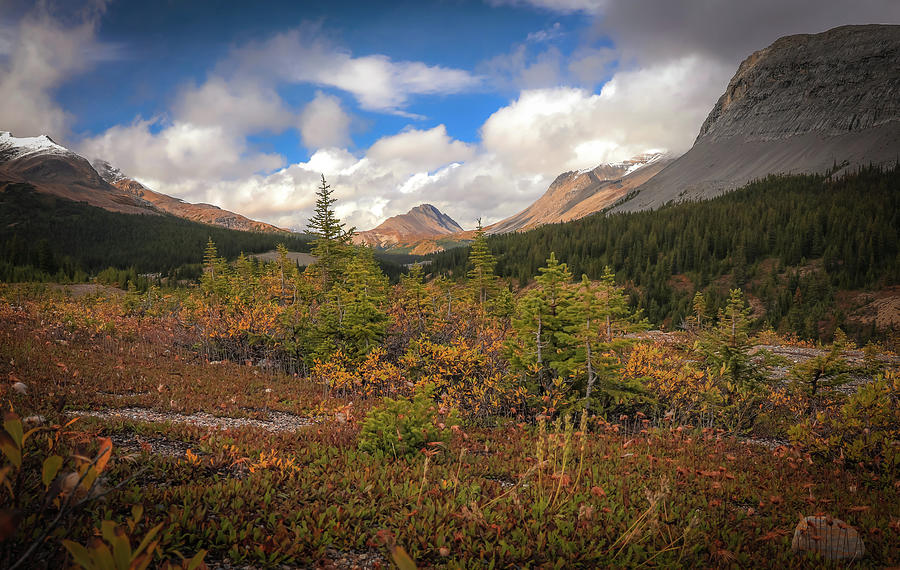 Fall Landscape Canadian Rockies fine art mountain print by Dan Sproul