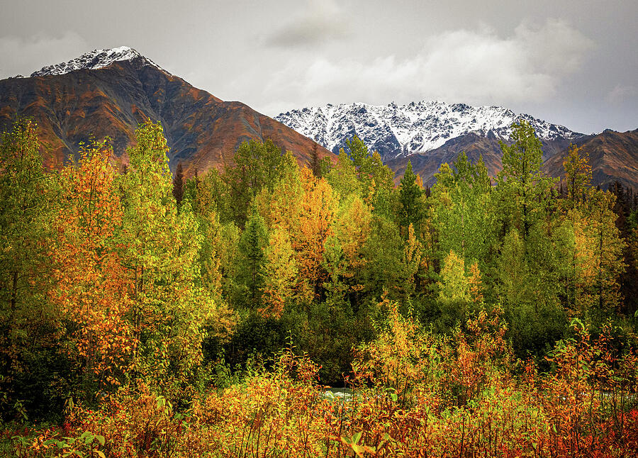 Fall landscape Chugach National Forest Alaska photography print by Dan Sproul
