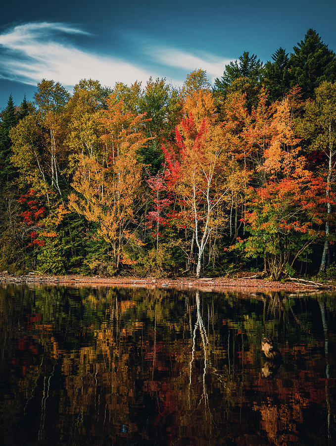 Autumn trees reflected in Moosehead Lake at Lily Bay State Park Maine