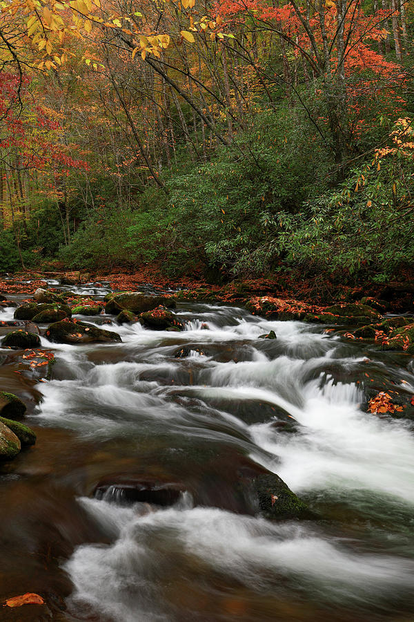 Flowing autumn cascades in the Smoky Mountains forest by Dan Sproul