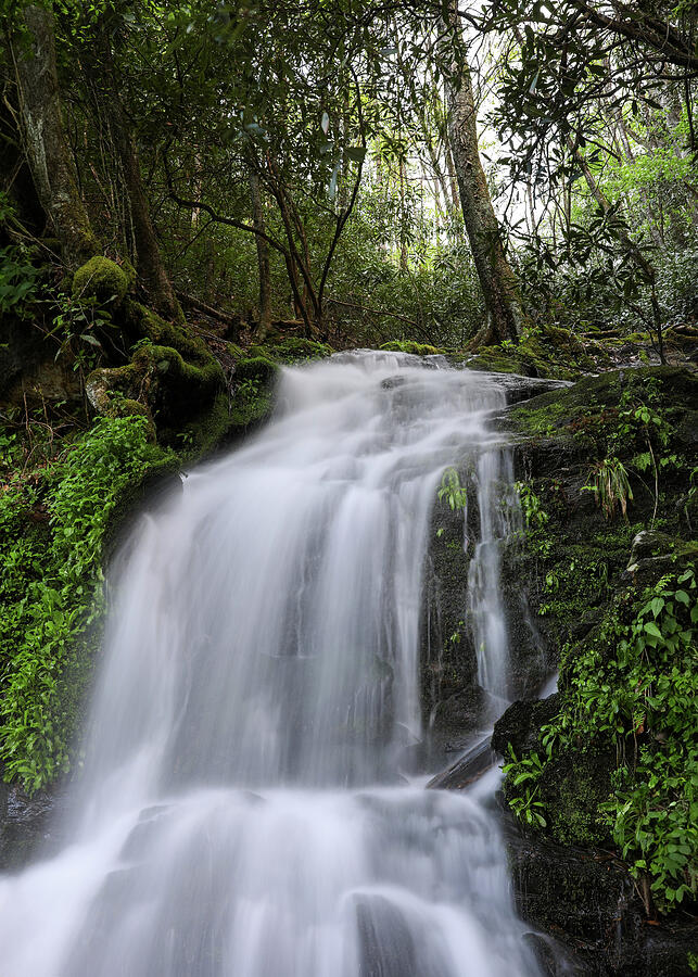 Flowing waterfall in the Smoky Mountains forest by Dan Sproul