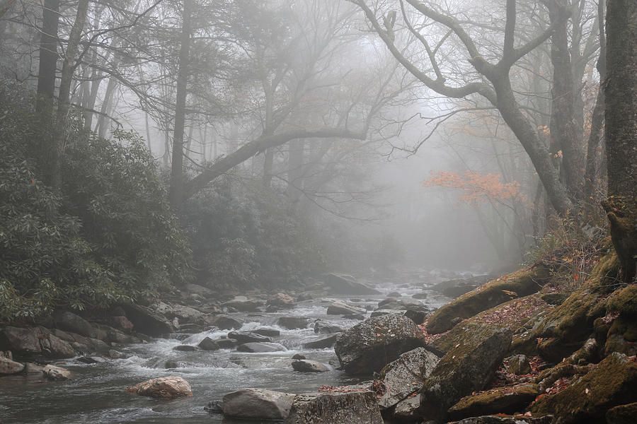 Foggy autumn river photography by Dan Sproul for senior living wellness interiors