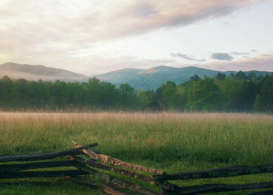Foggy Cades Cove landscape and fence waiting room artwork by Dan Sproul