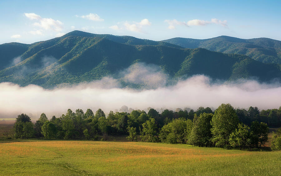 Foggy morning Cades Cove landscape photography by Dan Sproul for calming healthcare waiting room artwork