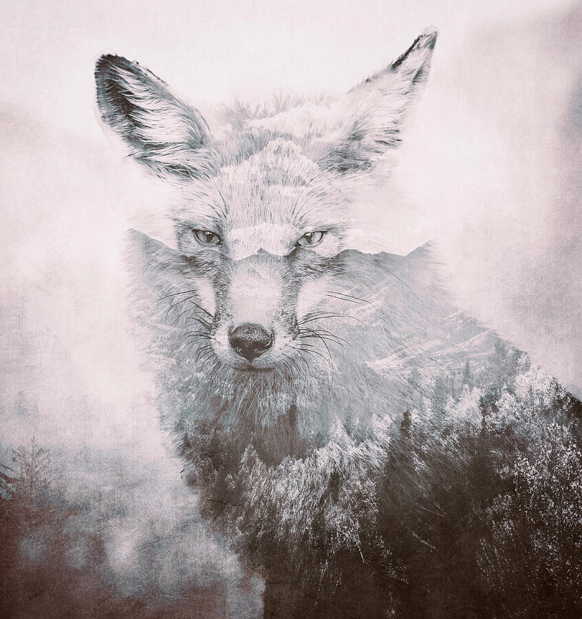 Fox Forest Double Exposure mixed media wildlife print by Dan Sproul