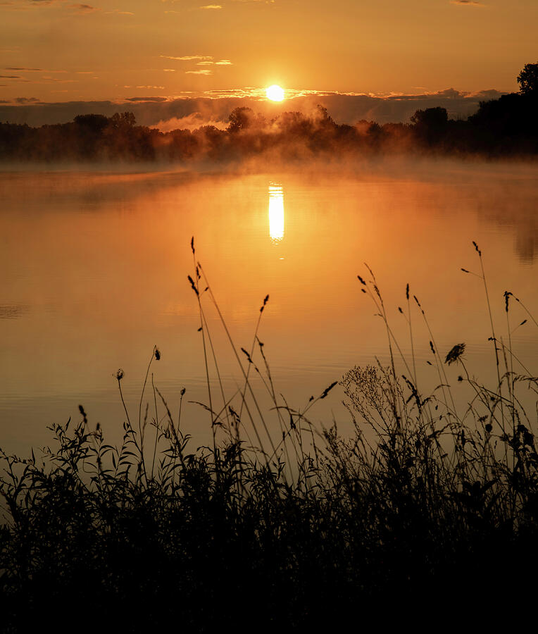Golden sunrise reflection and silhouetted grasses on a misty lake in Lima Ohio