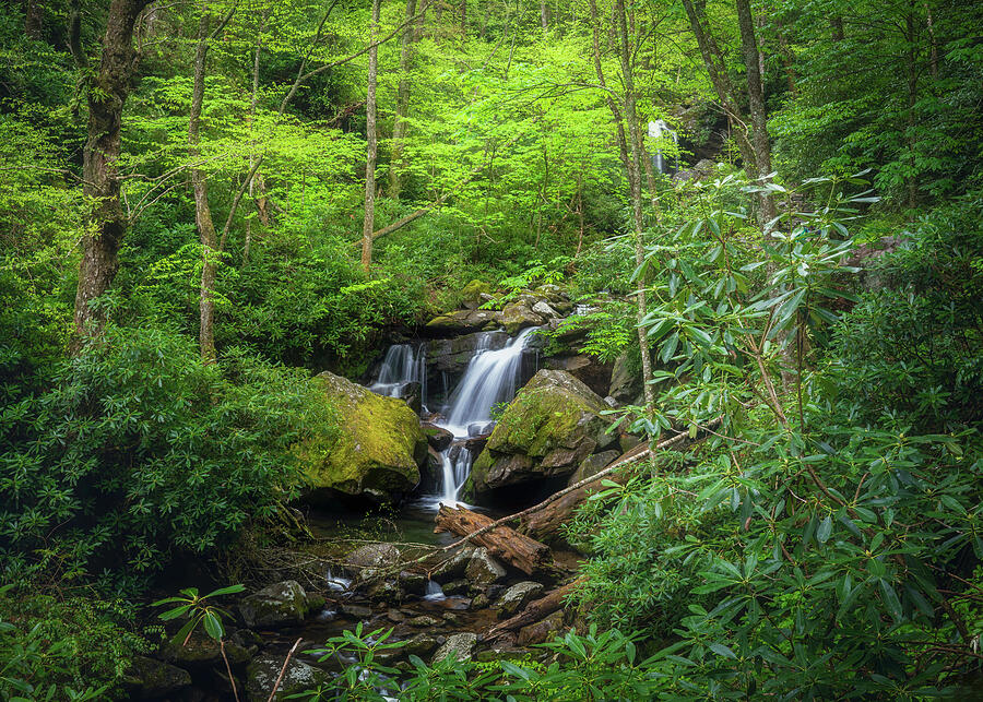 Grotto Falls Smoky Mountains waterfall forest sunlight photograph by Dan Sproul