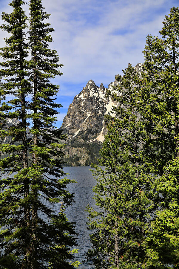 Jenny Lake Grand Teton National Park summer reflection photography by Dan Sproul