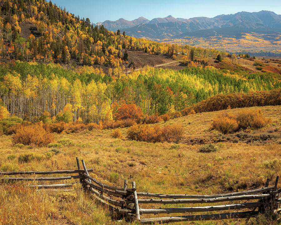 Rustic fence and golden autumn landscape along Last Dollar Road Colorado by Dan Sproul