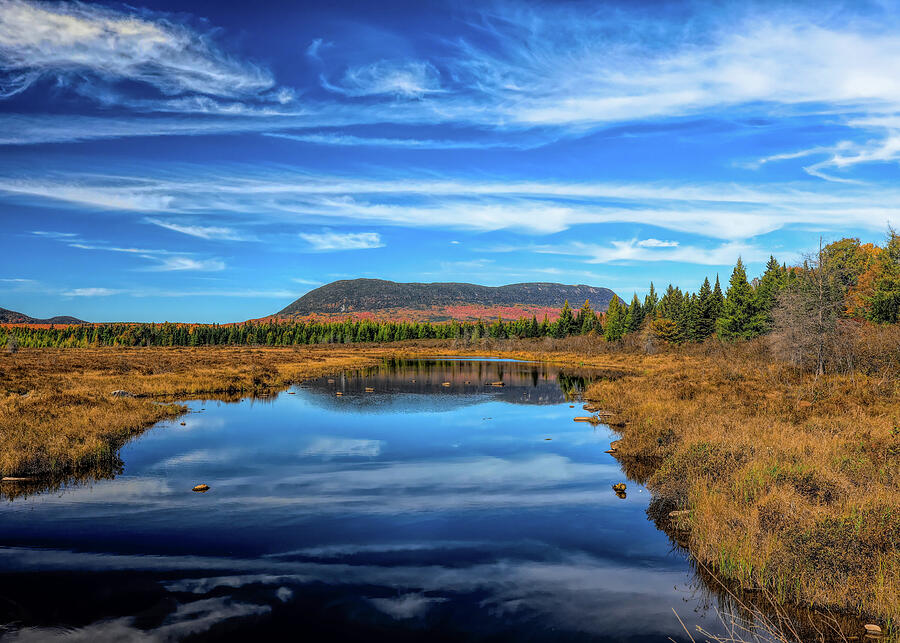 Lazy Tom Bog Maine reflecting blue sky and autumn landscape