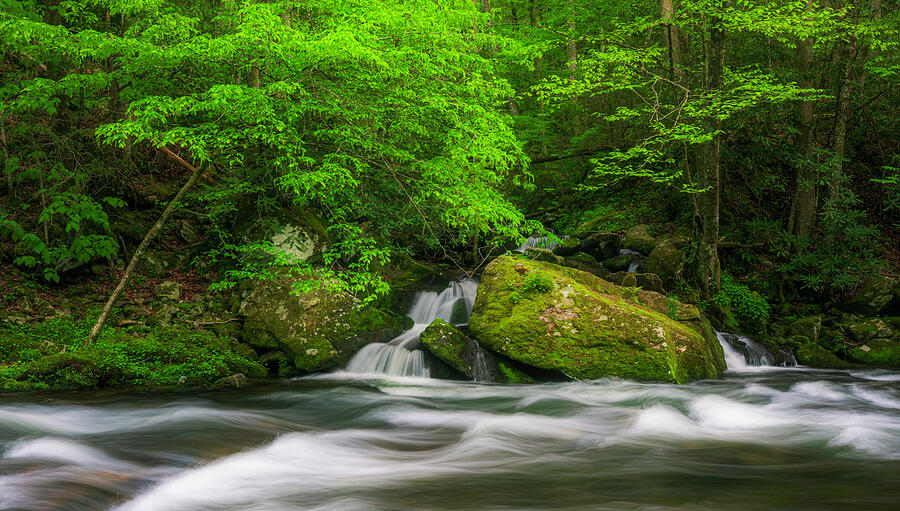 Little River Smoky Mountains cascades in spring photography by Dan Sproul