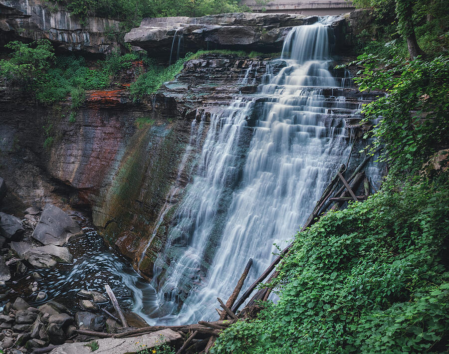 Wide forest waterfall study by Dan Sproul