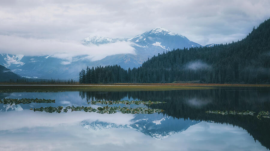 Moody Lily Pond Chugach National Forest mountain artwork by Dan Sproul