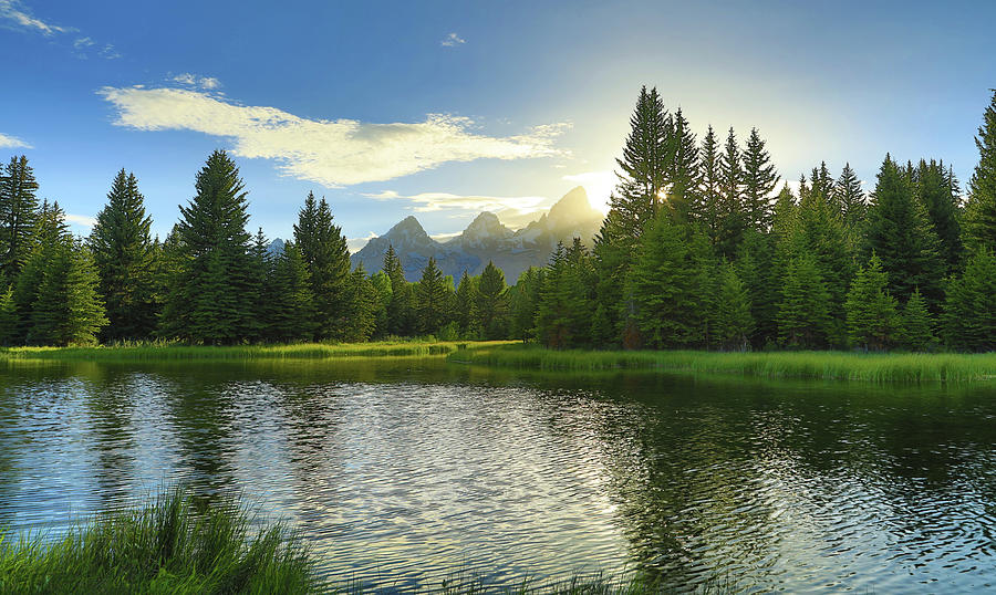 Morning Light at Schwabacher Landing mountain reflection artwork by Dan Sproul