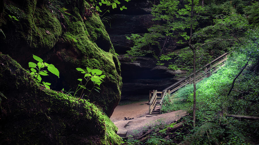 Mossy gorge along the Lyons Falls Trail at Mohican State Park Ohio