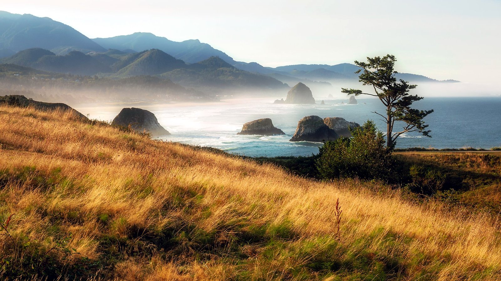 Ecola State Park Oregon dreamy coastal panorama photography print Dan Sproul