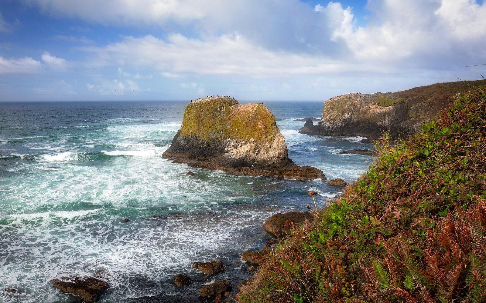 Yaquina Beach Oregon sea stacks coastline photography print Dan Sproul