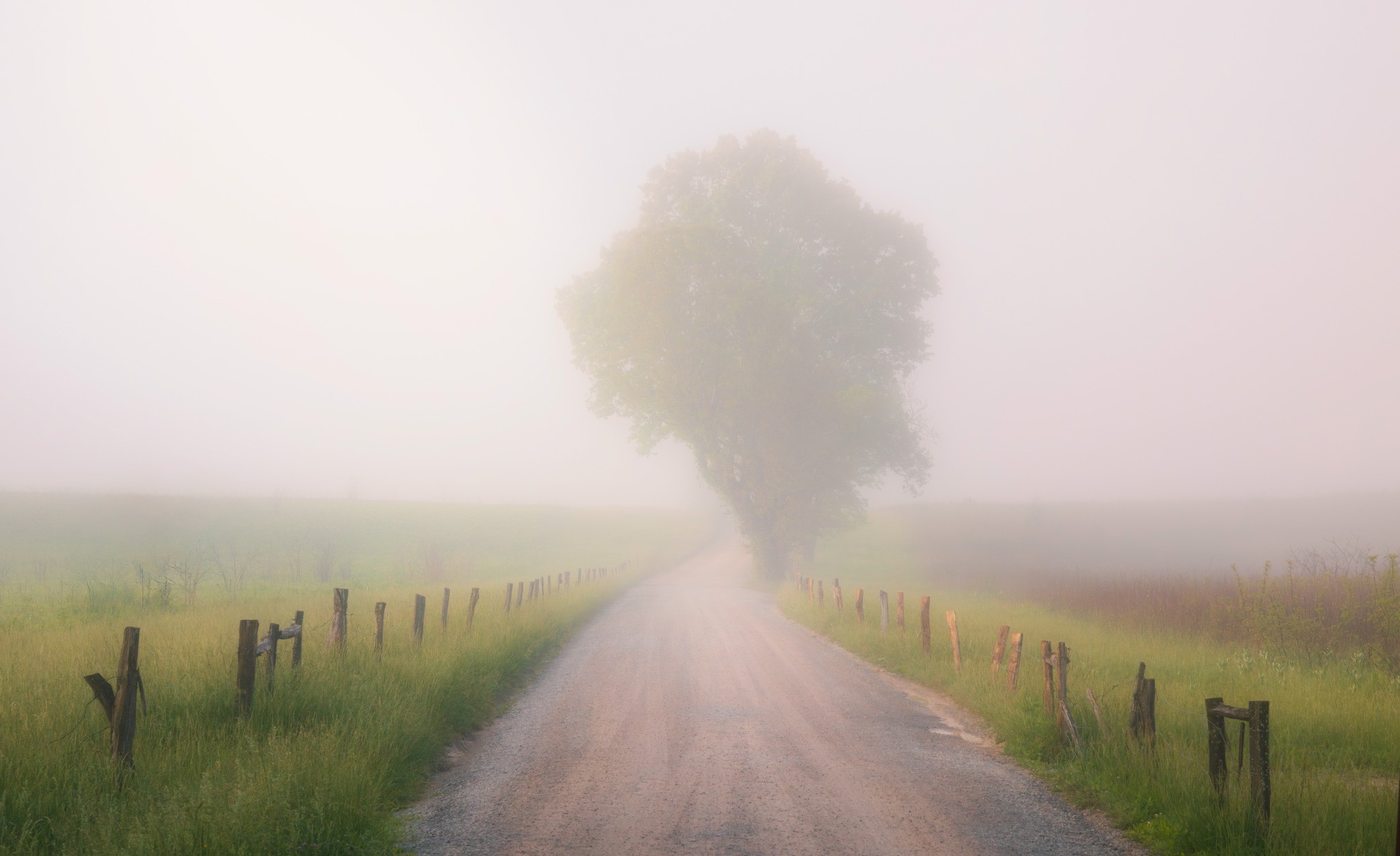 Foggy country lane nature photography print for wellness spaces and calming interiors by Dan Sproul
