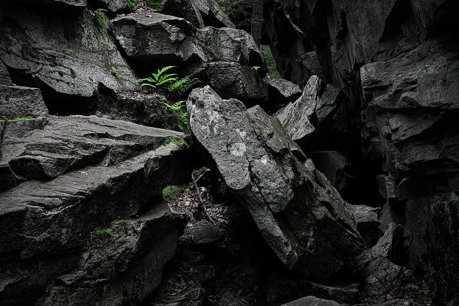 Rock crevasse and stone trail in Ricketts Glen State Park photographed by Dan Sproul