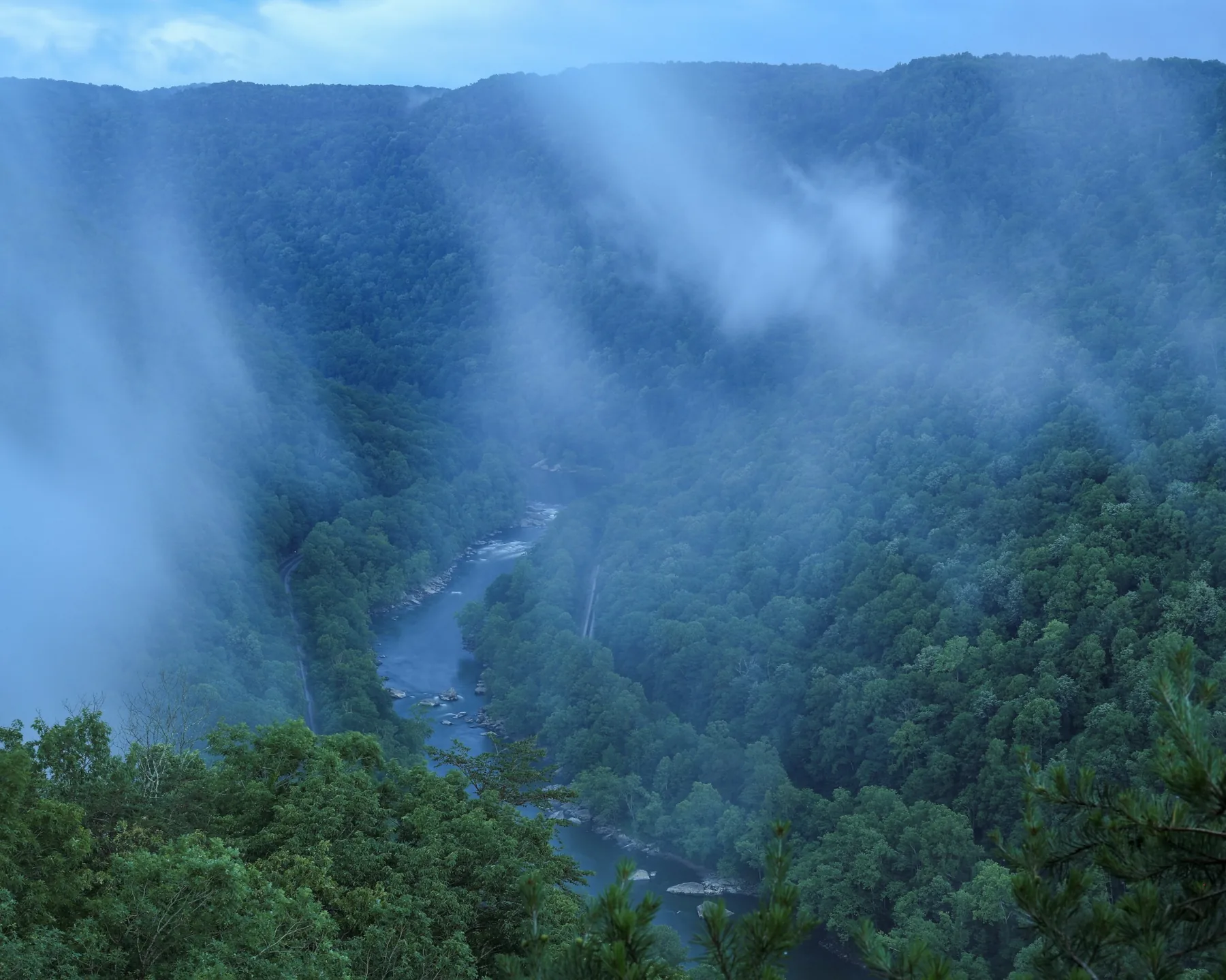 Blue-green forest valley wrapped in fog