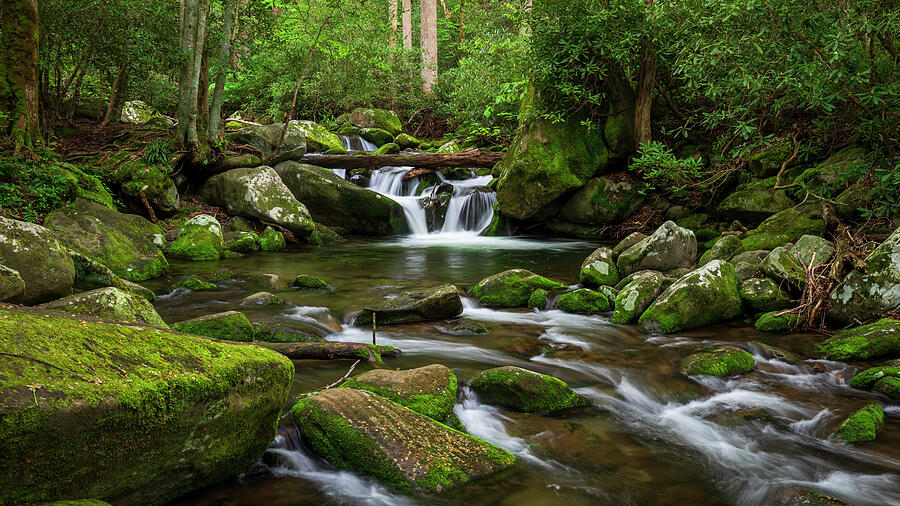 Roaring Fork River in the Smoky Mountains flowing through autumn forest by Dan Sproul