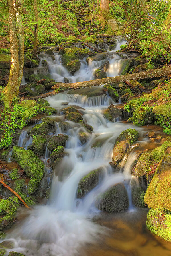 Great Smoky Mountains long exposure waterfall photography by Dan Sproul for calming healthcare and wellness wall art