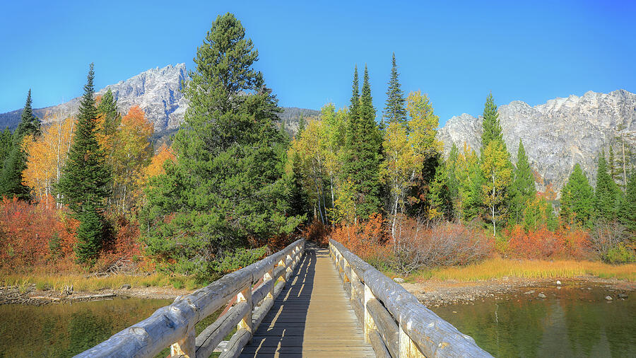 Wooden bridge leading through colorful autumn vegetation toward the Teton Range on the Taggart Lake Trail