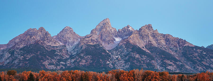 Wide blue-hour panorama of the Teton Range above orange autumn trees