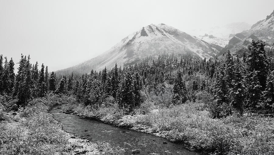 Winter monochrome Denali National Park mountain photography by Dan Sproul for healthcare corridor artwork