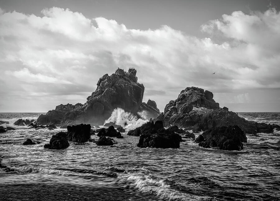 Yaquina Beach in black and white